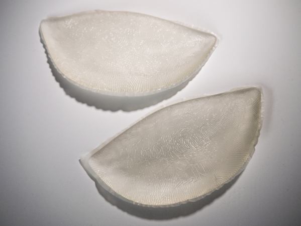 A pair of transparent bra inserts