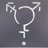 Logo of Gender what Gender?