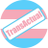 Logo of TransActual
