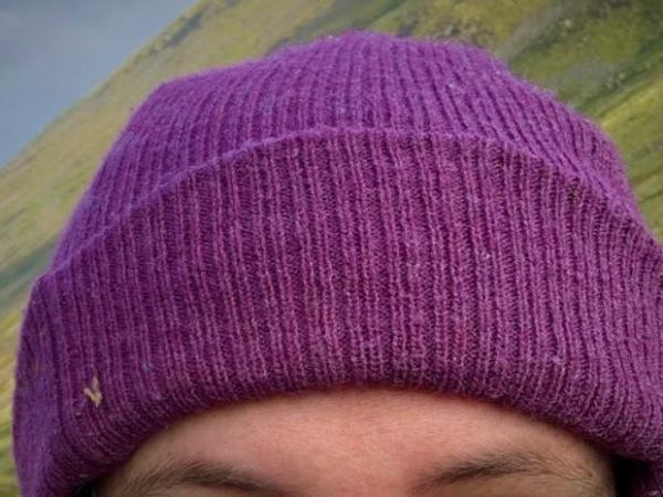 The top of a white person's head, covered by a purple hat.